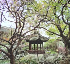 Yu Garden Image